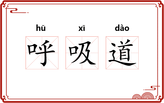呼吸道
