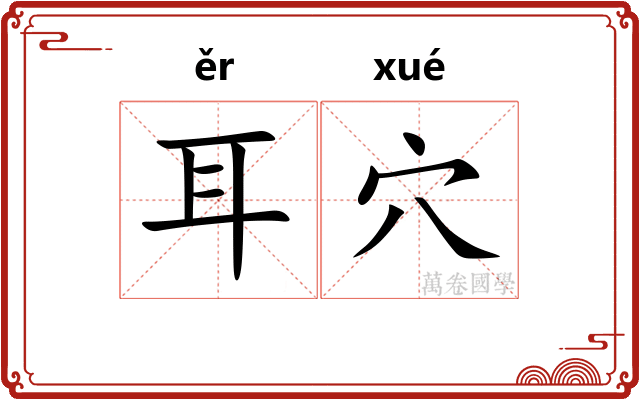 耳穴