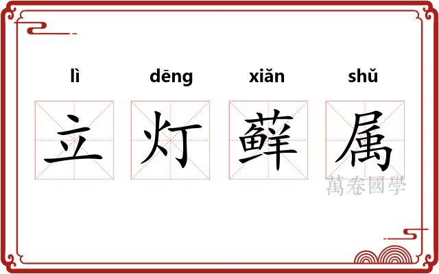 立灯藓属