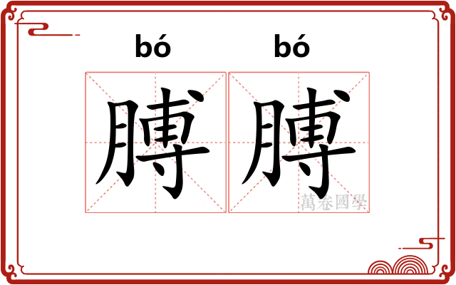 膊膊