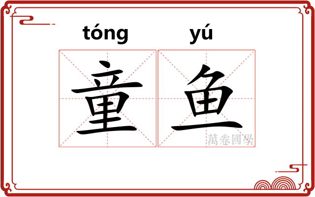 童鱼
