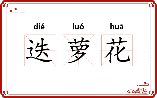 迭萝花
