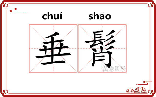 垂髾