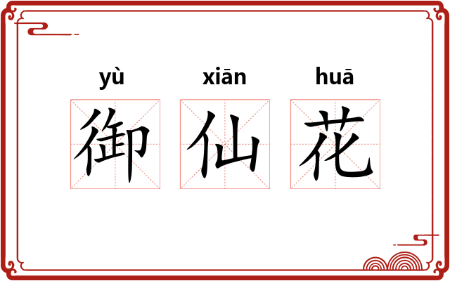 御仙花 御仙花