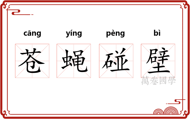 苍蝇碰壁