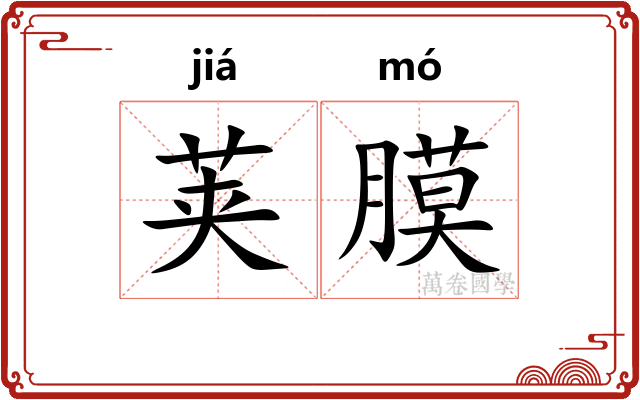荚膜