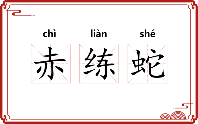 赤练蛇 赤练蛇
