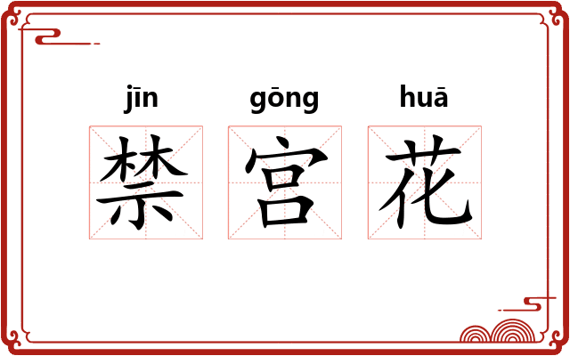 禁宫花