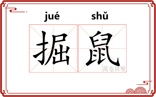 掘鼠