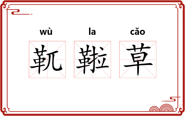 靰鞡草 靰鞡草