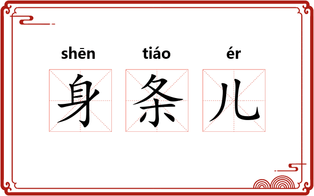身条儿 身条儿
