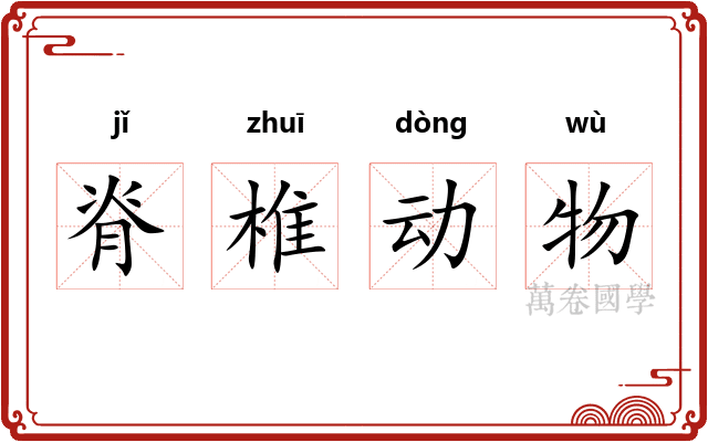 脊椎动物