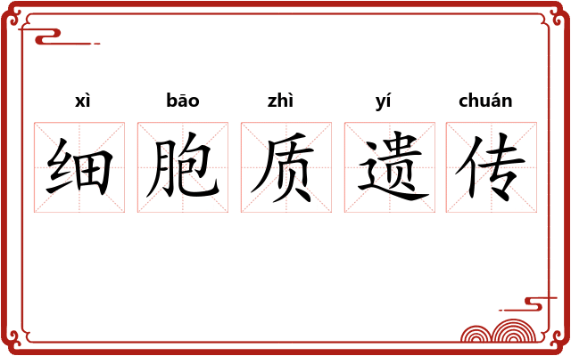 细胞质遗传