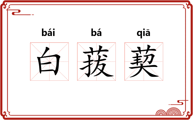 白菝葜 白菝葜