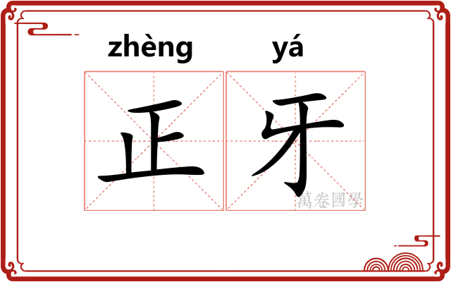 正牙