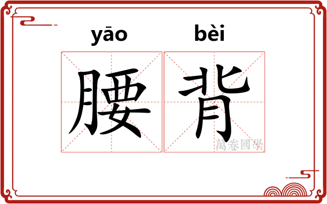 腰背
