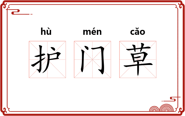 护门草 护门草