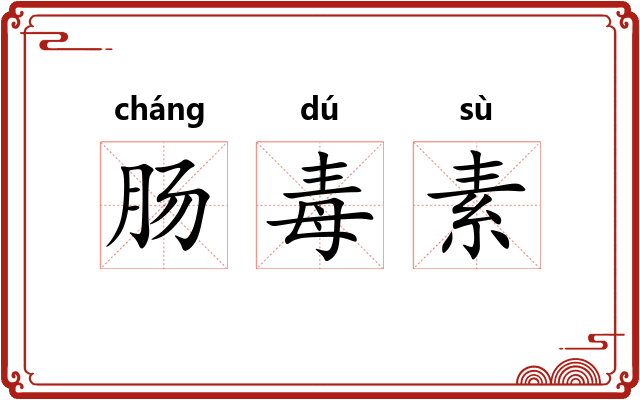 肠毒素