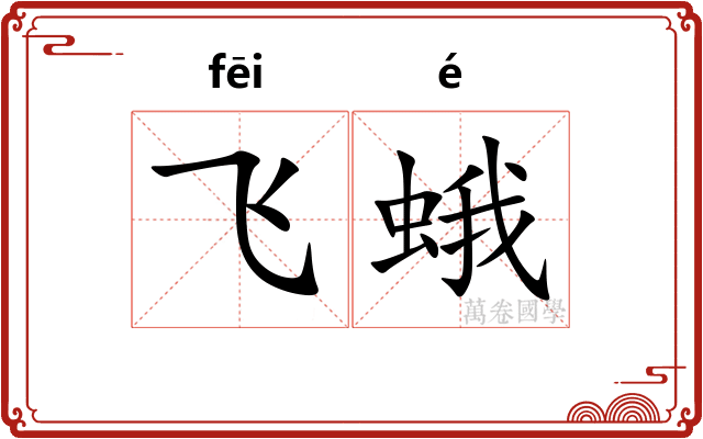 飞蛾