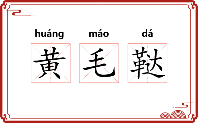 黄毛鞑 黄毛鞑