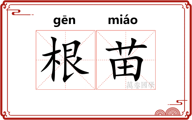 根苗