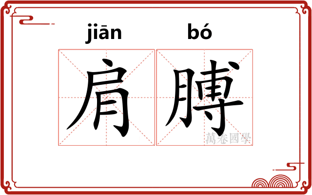 肩膊