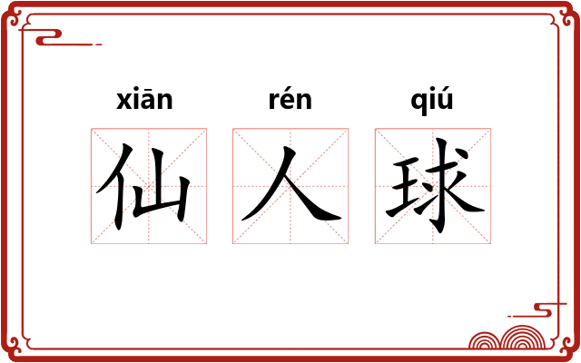 仙人球