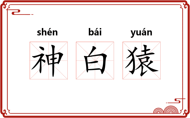 神白猿