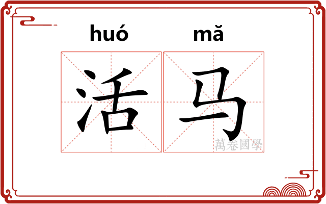 活马