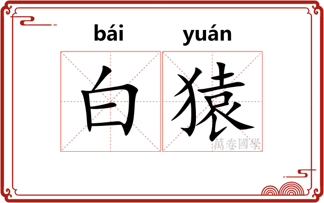 白猿