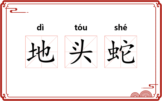 地头蛇 地头蛇