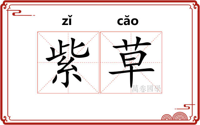 紫草