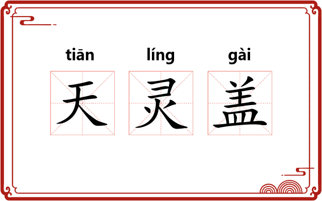 天灵盖
