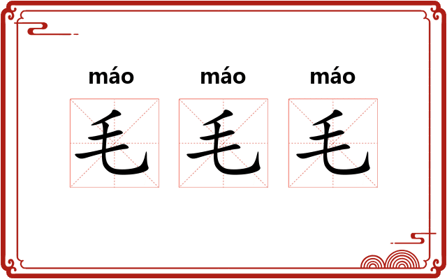 毛毛毛