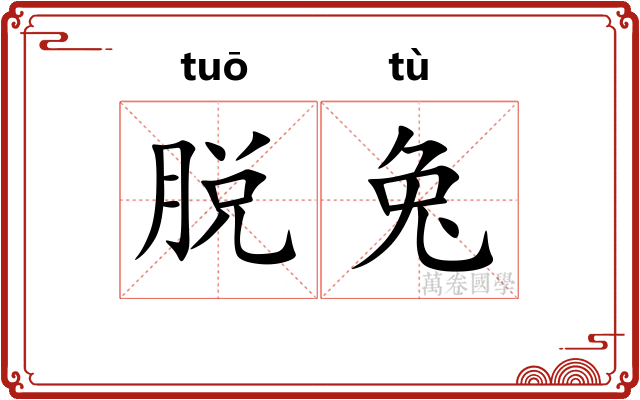 脱兔