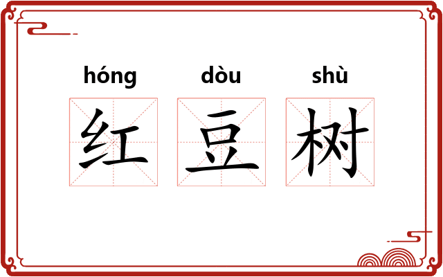 红豆树
