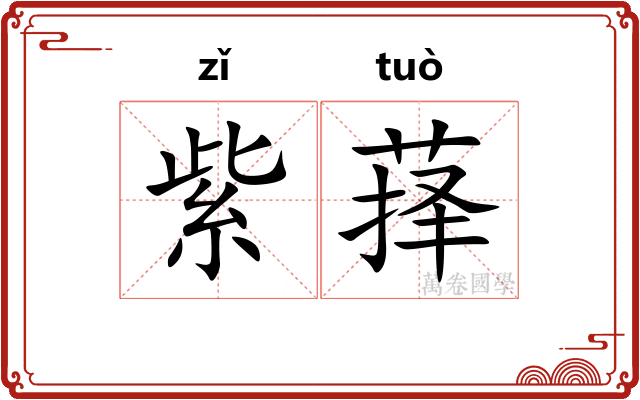 紫萚