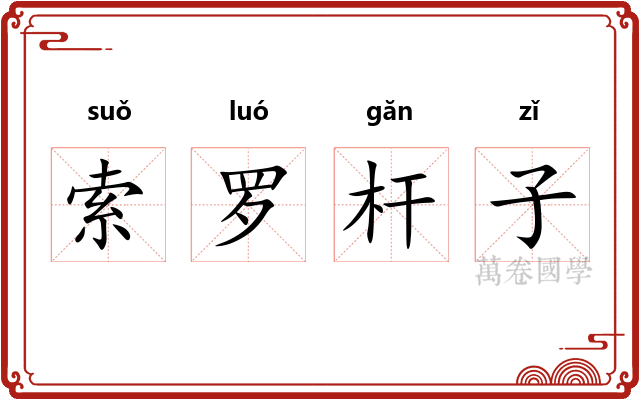 索罗杆子