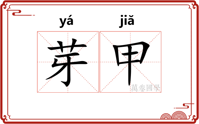 芽甲 芽甲