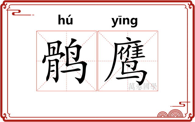 鹘鹰