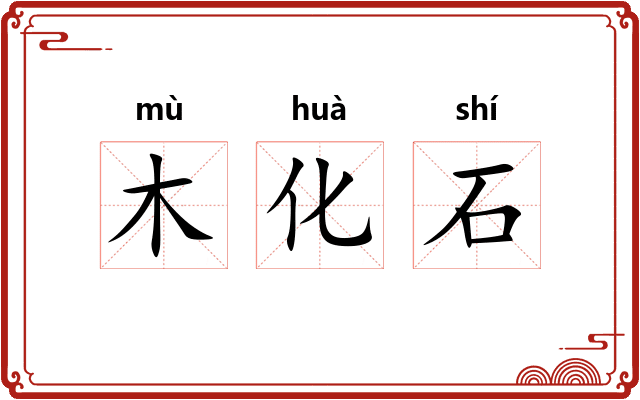 木化石 木化石