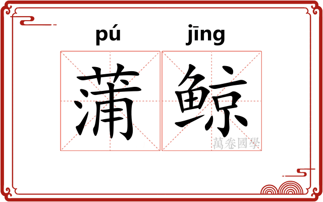 蒲鲸
