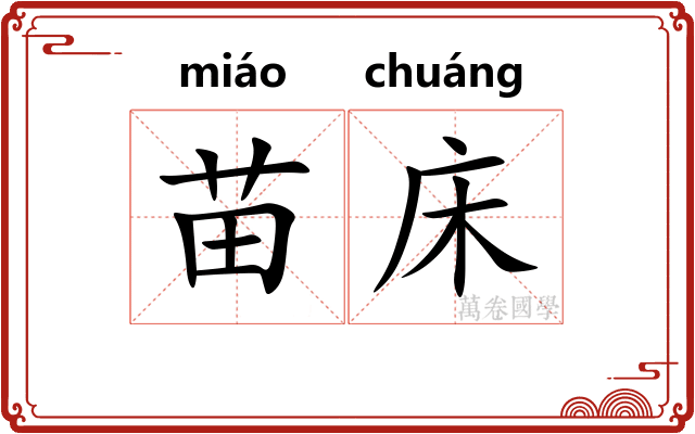 苗床