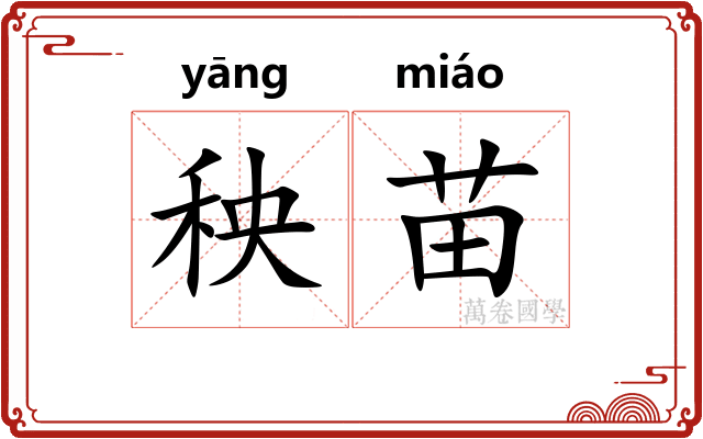 秧苗 秧苗