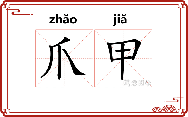爪甲