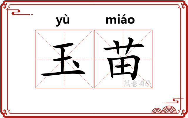 玉苗