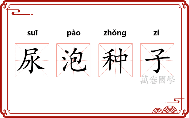 尿泡种子 尿泡种子