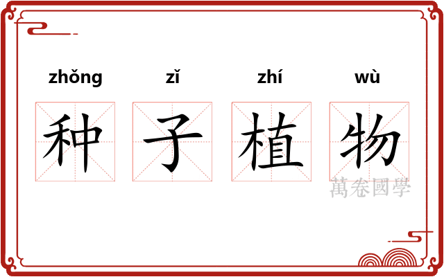 种子植物
