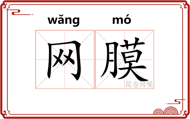 网膜