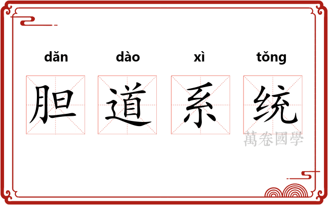 胆道系统